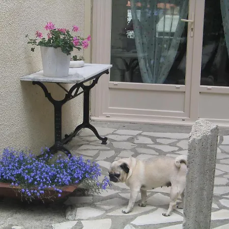 La Petite Maison Dans Les Pins *