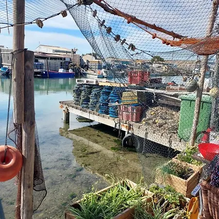 Frühstückspension La Petite Maison Dans Les Pins Sigean